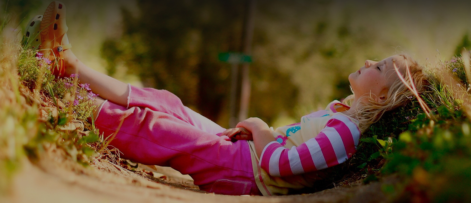 Ananda Marga banner Educação Neo-humanista