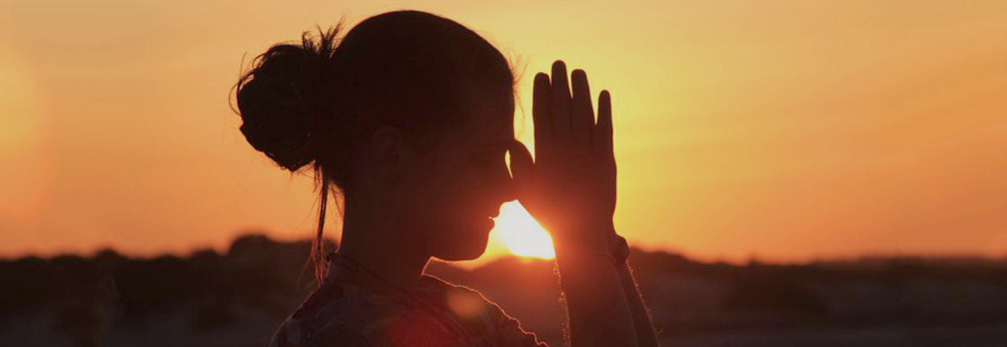 Ananda Marga banner Yoga